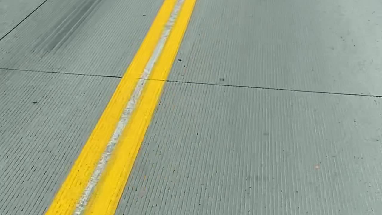 Squirrel Stowaway On Truck Bumper