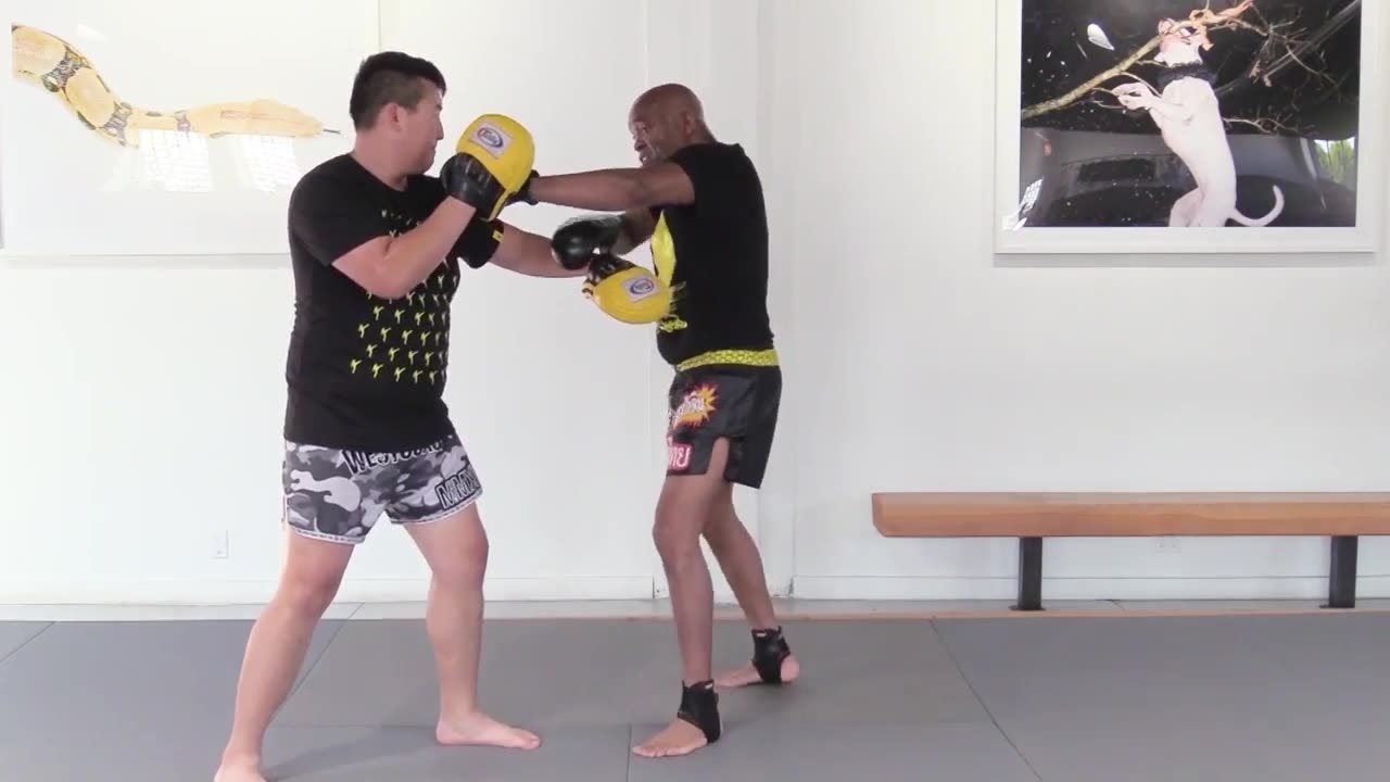 Comprehensive Striker - Anderson Silva 4