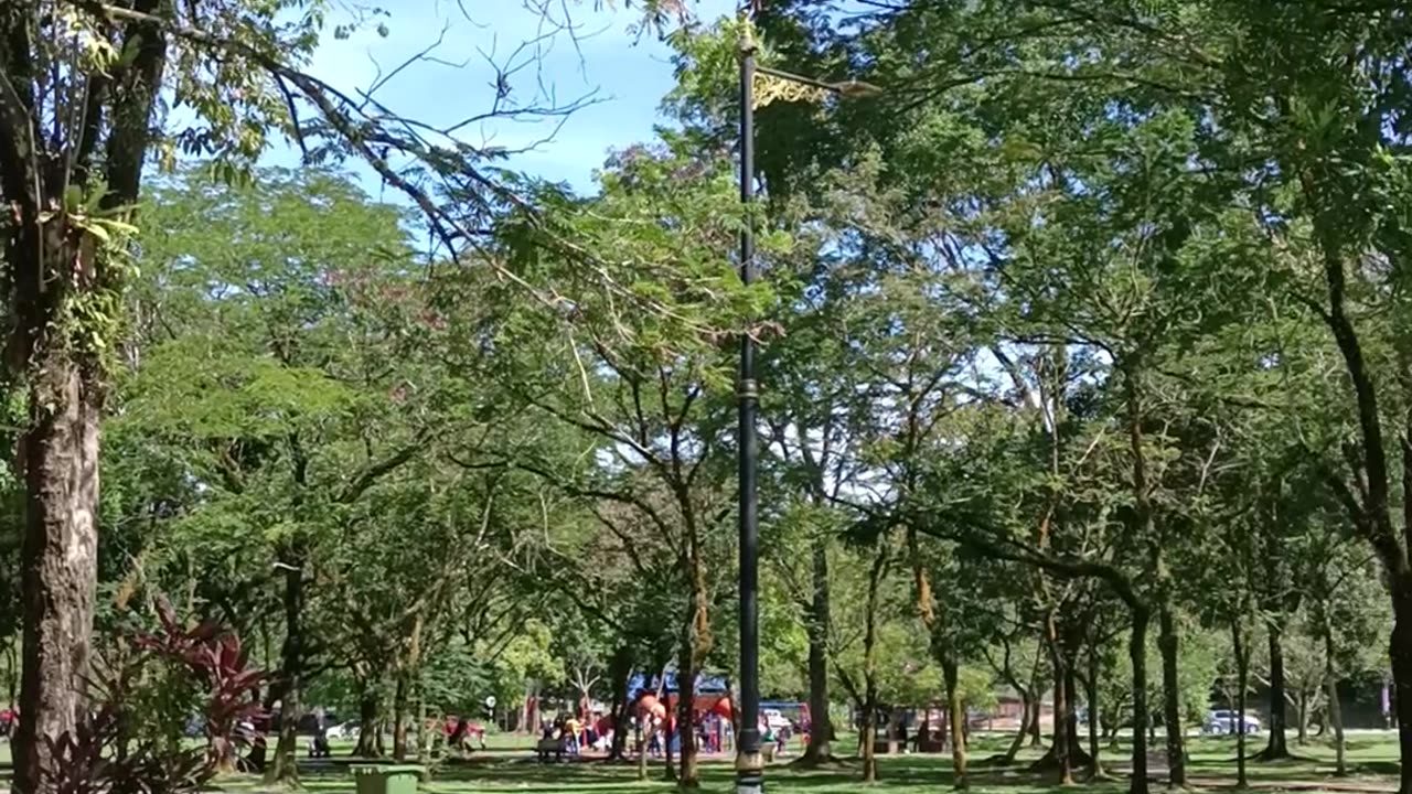 Taman Tasik Taiping 2