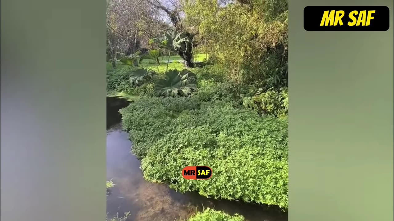 Series 2 Episode 57 🤣😂🤣