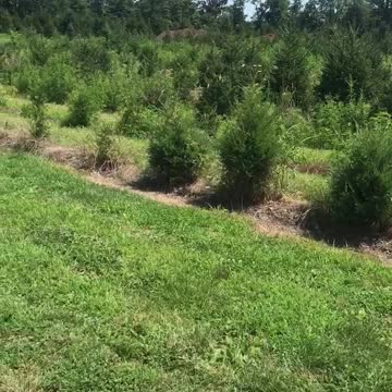 I refuse to find gold on our gold rich properties.