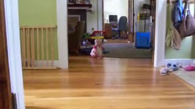 Don't Crawl Off The Bed