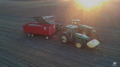 Mann Farms 2021