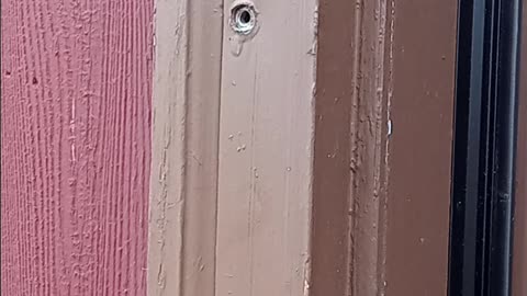 Removing a painted screw