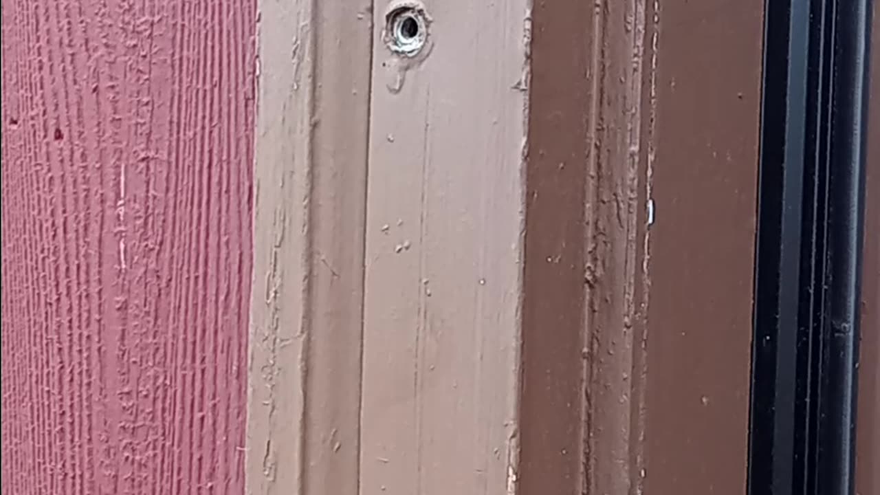 Removing a painted screw