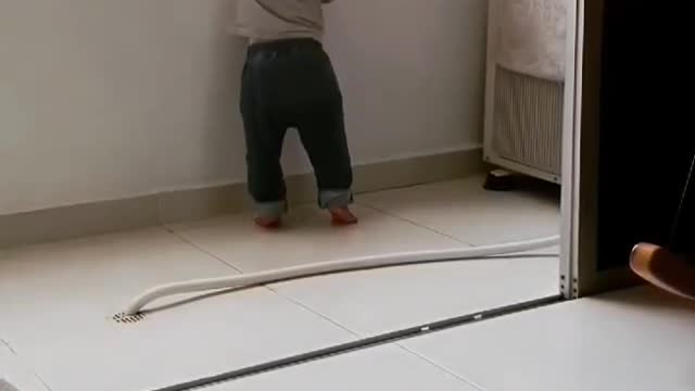 Cat protects children and doesn't let babies climb into windows