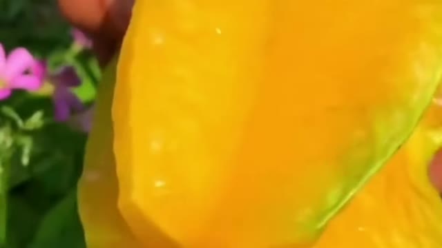 Fruits Video Farm Fresh Ninja Fruit Cutting Satisfying Fruit | Amazing Fruits Video #fruits #short
