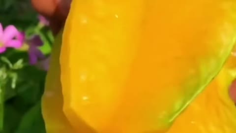 Fruits Video Farm Fresh Ninja Fruit Cutting Satisfying Fruit | Amazing Fruits Video #fruits #short