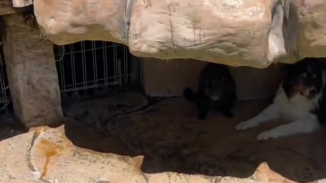 pov u still havent been adopted