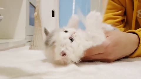 Very Artistic Baby