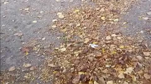 Melissa Horn - Under Löven