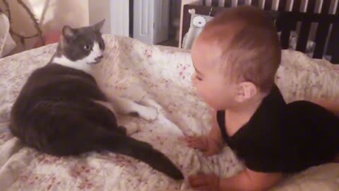 Baby And Cat Fun And Cute. Funny Cat Video