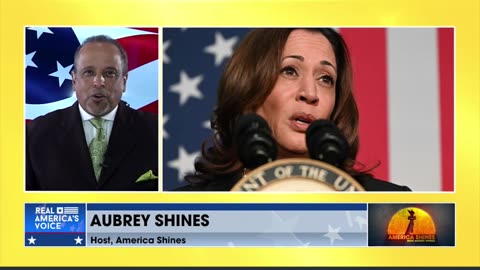 Nobody Voted For Kamala In The Primaries