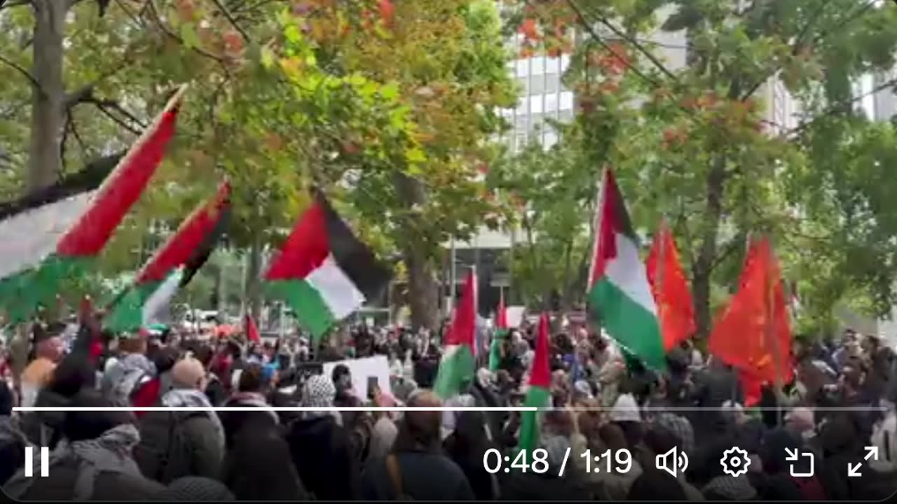 A CROWD OF PALESTINIANS GATHER IN DOWNTOWN MONTREAL, QUEBEC, CANADA