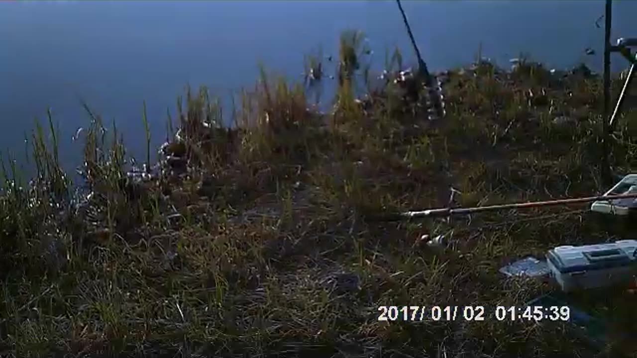 Catching Pike in Alberta