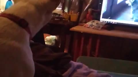 Jesse James howling at dog video