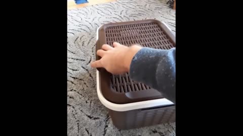 Funny Dogs And Cats Video 2024😅😂- Best funny animal videos