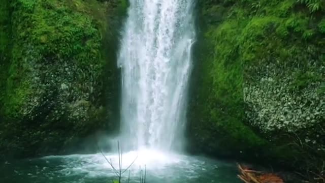 Paradise Waterfall #shorts #waterfalls #nature #paradise