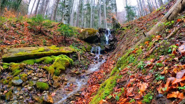 BEAUTIFUL WATERFALL MUSIC (Relaxing Instrumental)