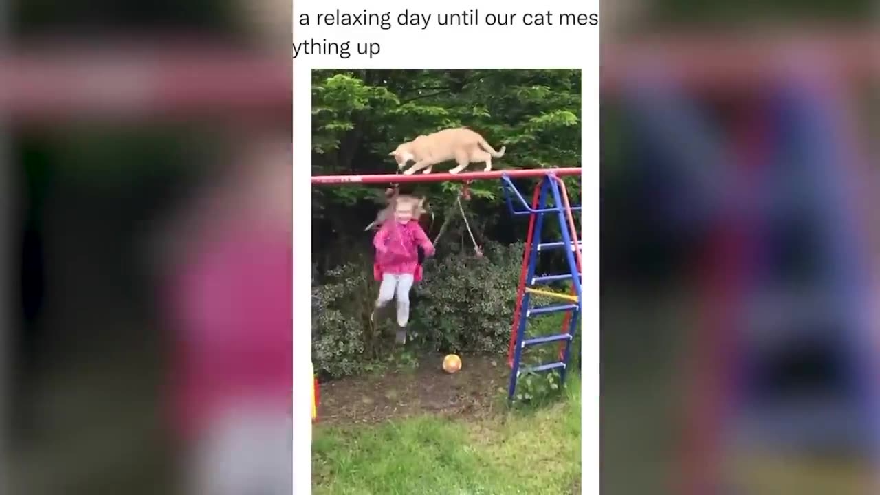 Cursed Memes Compilation #1