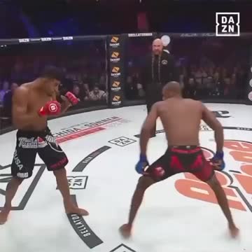 Those knock outs!….