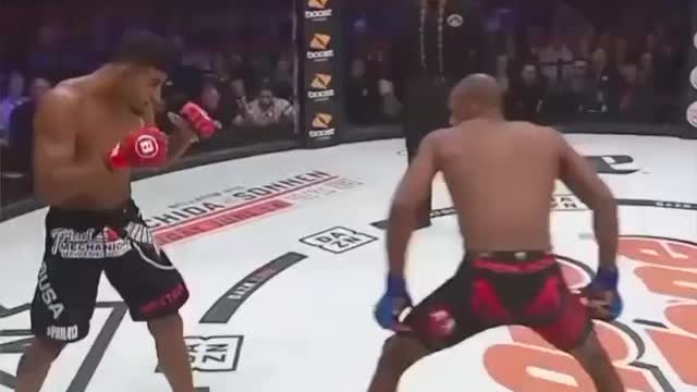 Those knock outs!….