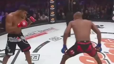 Those knock outs!….