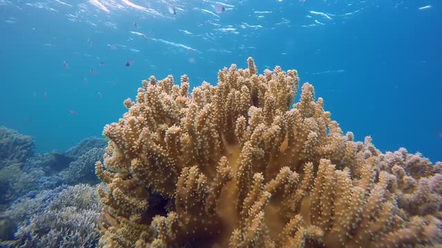 The most beautiful of the seas