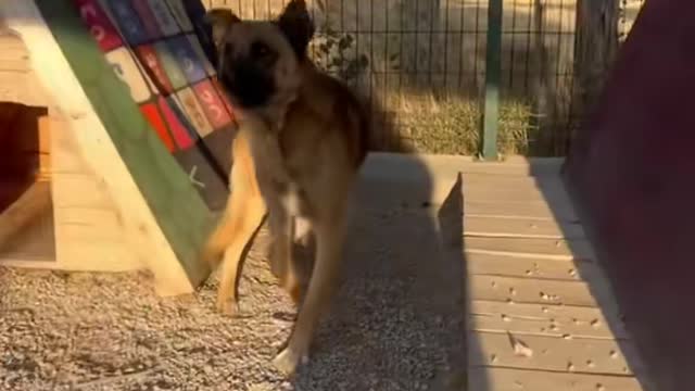 Öyle zor ki kışın syrı zor yazın ayrı zor 😔