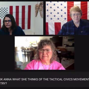 Anna Clips: What Does Anna Say about #TacticalCivics?