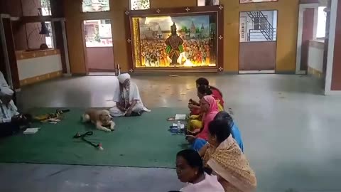 A dog silently sitting in prayer hall