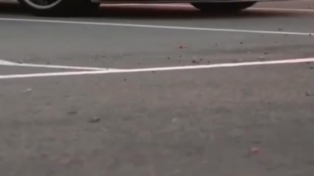 Super Car And Sports Car Full Video