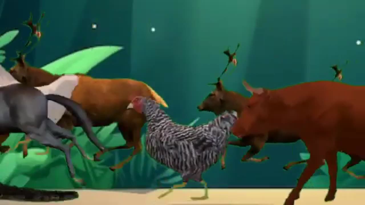 Animal video cats and dogs