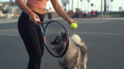 Service dog opens box of balls, only plays fetch with specific one