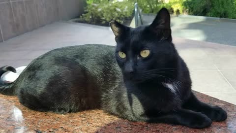 20240422 170233 Tux People Watching