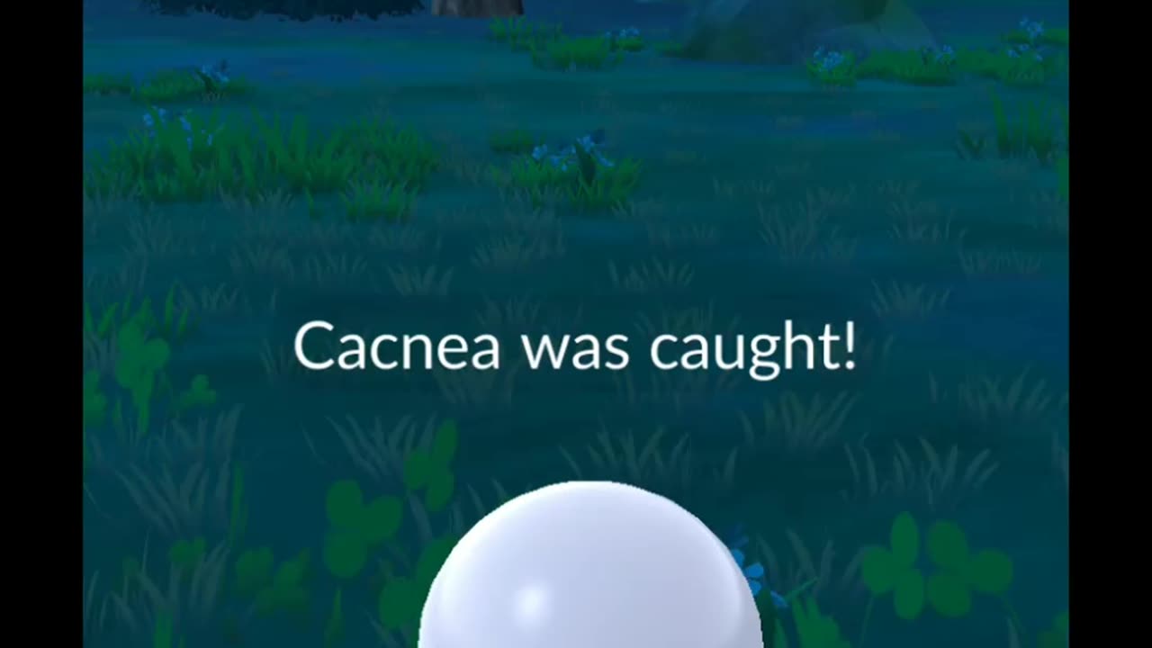 Pokémon GO-Shadow Cacnea