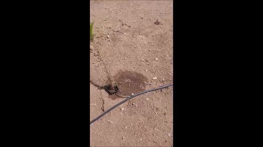 Dolan Springs, my property