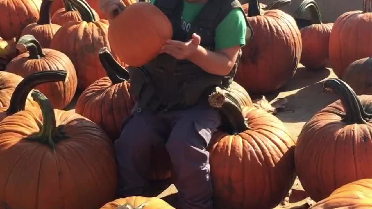 Pumpkin Picking - Johnson’s Corner Farm - Demons - Imagine Dragons Cover