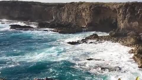Beauty of Nature