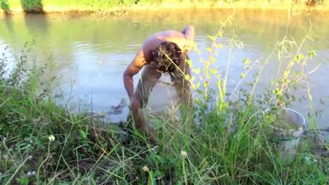 wow Amazing Fishing - Cambodia Traditional fishing - How to Catches Fish (Part 129)
