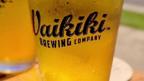 Chilling#sealife#Lahaina#