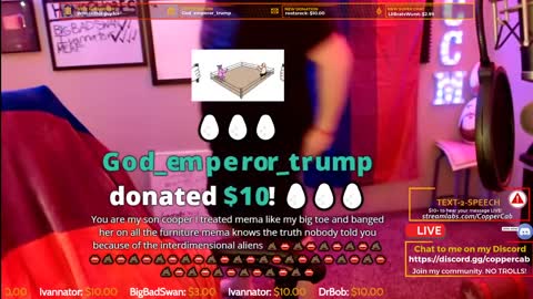Bisexuality and YOU! [Deleted Coppercab Stream]