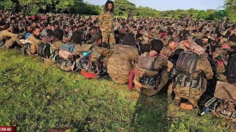 Gabaasa Tarkaandii ONM-ABO Fulbaana 30-2024 itti dhiyaadhaa!