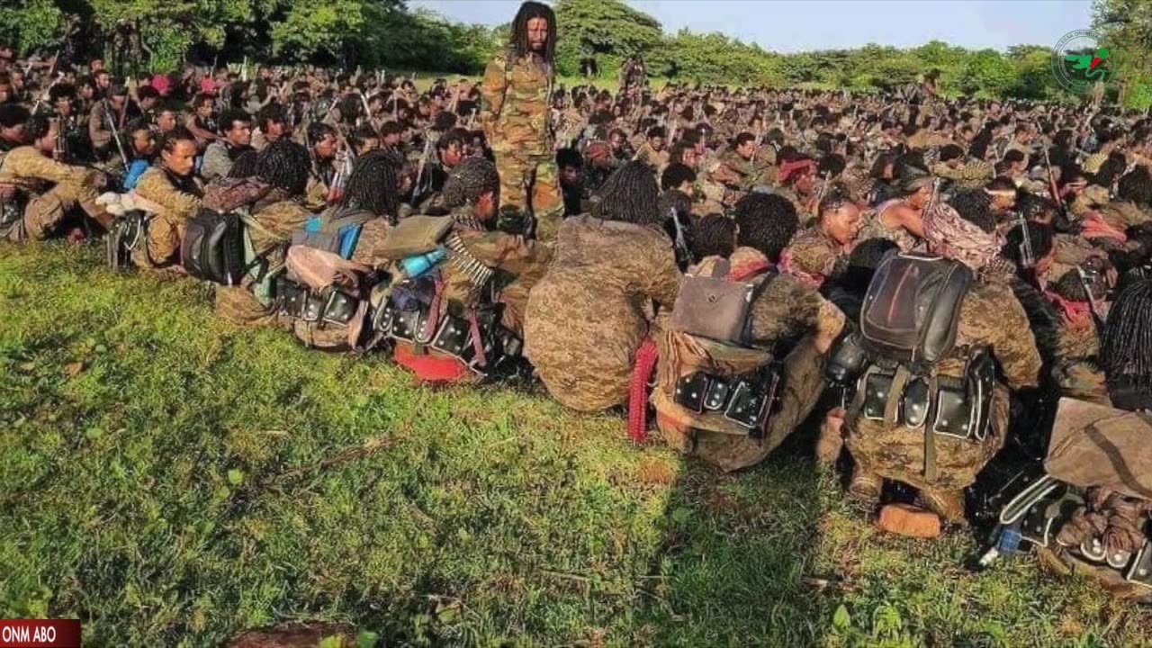 Gabaasa Tarkaandii ONM-ABO Fulbaana 30-2024 itti dhiyaadhaa!