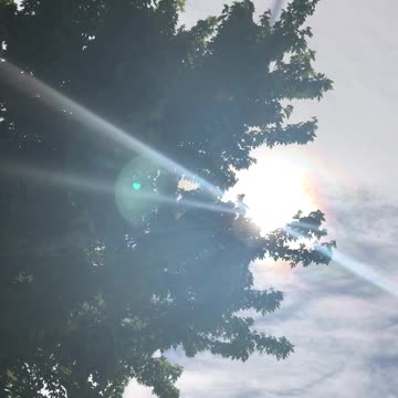 on porch watching sky