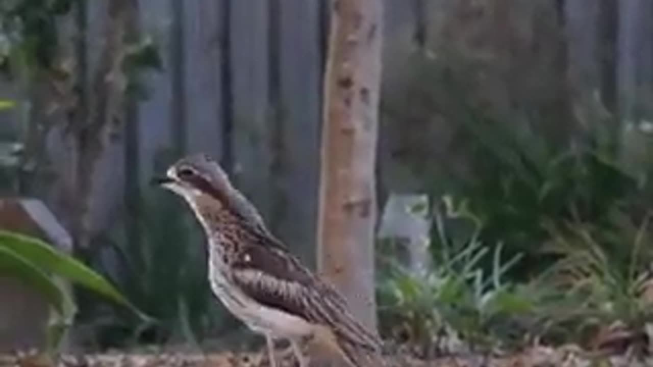 Mother can take big risk for safeguard