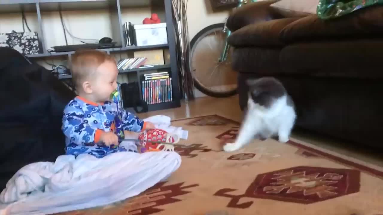 Baby and Cat Fun and Cute - Funny Baby Videos