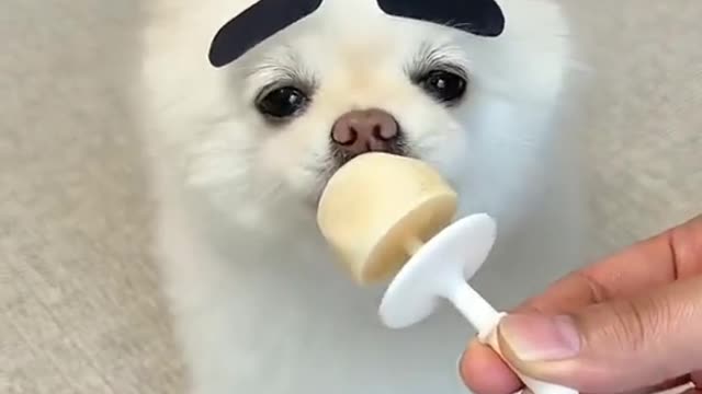 hello