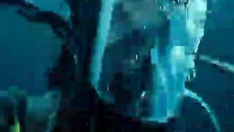 Best action movie HD videos