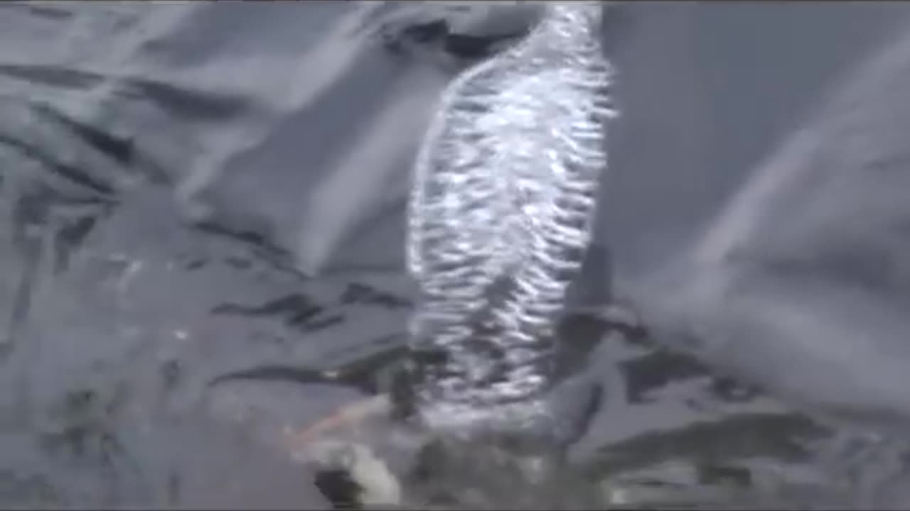 Incredible iceman caught on video